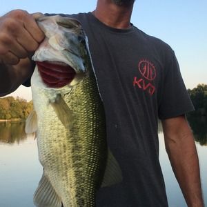 Meet your Posher, Danny